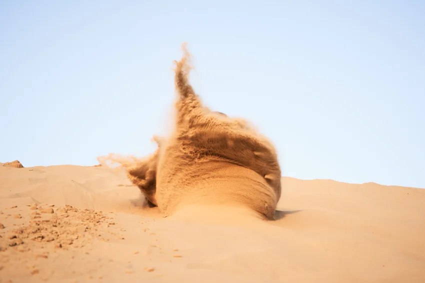 Loonse en Drunense duinen - 2024